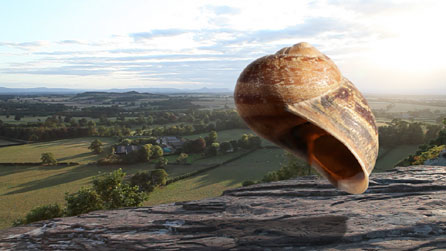 Still taken from Sean Vicary's Lament. Image courtesy of the artist