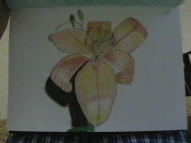 GCSE flower