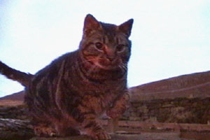 Isobel makes the most of the weather