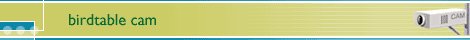 Birdtablecam banner