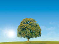 Family History logo