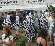 Fancy dress cows on Saturday