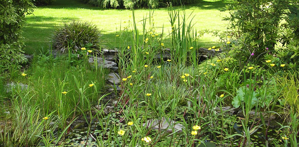 water garden feature