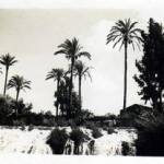 The waterfall on the Yarkon River