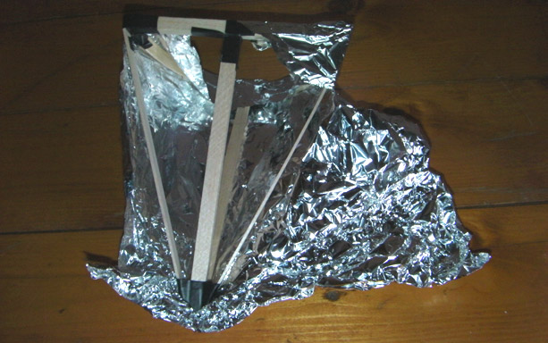 Tail or snout of armadillo