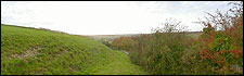 Countryside at Cerne Abbas