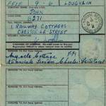 Travel ID Card