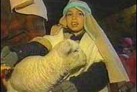 Bugail mewn drama geni