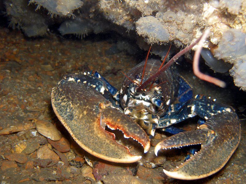 Big lobbie