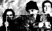Seefeel