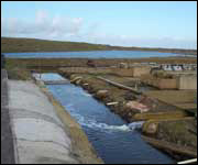 Seasalter Shellfish Company on Walney