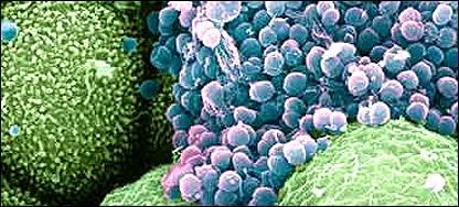 خلاصه برنامه هشتم