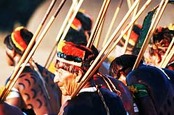 The Kuikuru Amerindians are part of an Amazonian anthropological puzzle