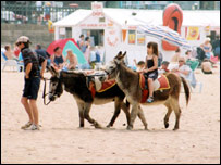 beach_donkey_203x152.jpg