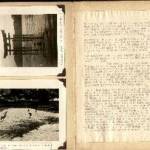 Eric's visit to a Japanese temple.