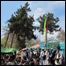 نوی کال