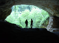 Photograph taken from inside the Vindija cave in Croatia.