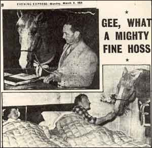 Roy Rogers and Trigger from the Evening Express