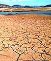 Effects of global warming