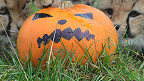 A pumpkin