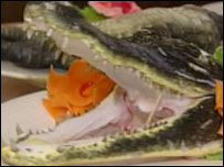 Prato com crocodilo