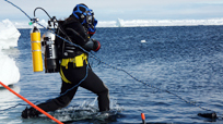Oceans presenter Tooni Mahto plunges into the icy water