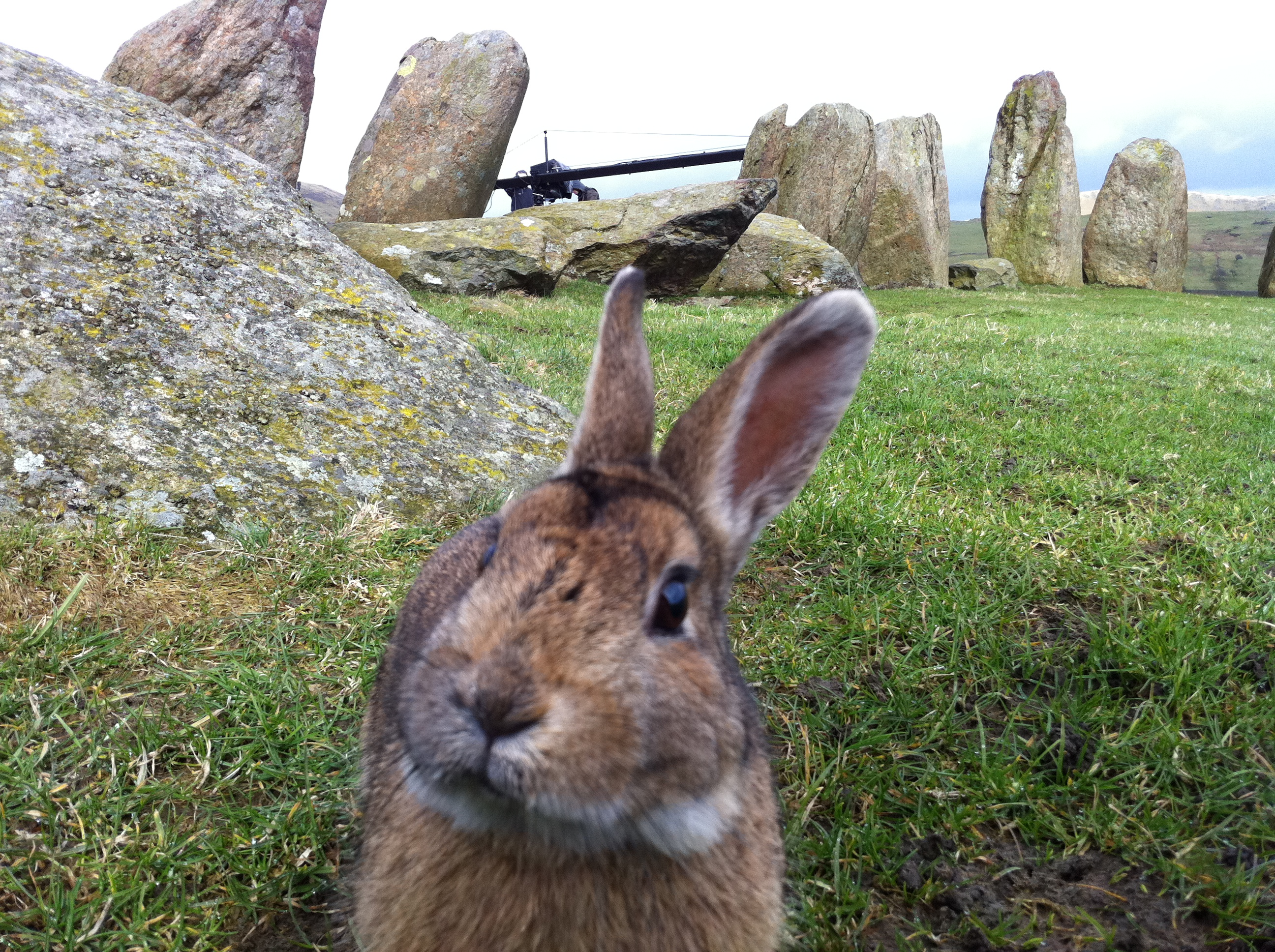 The Code mascot - Fibunnacci - capured by Marcus.