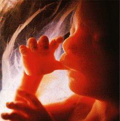 aborti1.jpg