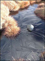 Ravenseye by Chris Gilbert