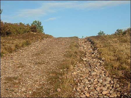 Aylesbeare Common's pebblebed heath