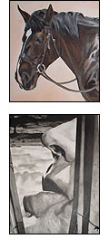 montage of Tina's work