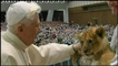 Papa Bento XVI