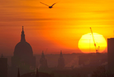 The Sun