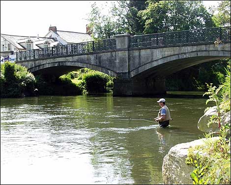 Fishing by Umberleigh bridge