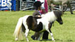 This young rider proudly displays his horse in Friday's Grand Parade.