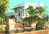 White house surrounded by trees and water