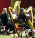 Playing the harp