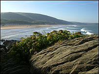 Woolacombe Beach