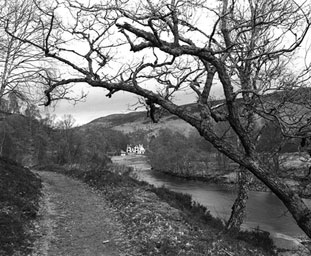 Taigh Fas na Coille