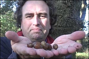Dave Sykes
