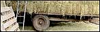 Hay barn and trailer