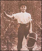 A young tomato picker