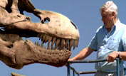 David Attenborough and a model of a T. rex