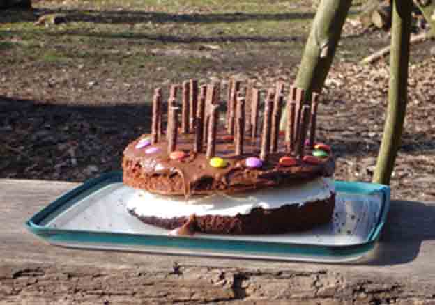 chocolate cake