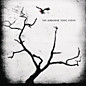 Review of The Airborne Toxic Event Review of The Airborne Toxic Event