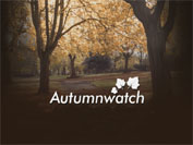 Autumnwatch