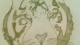 My Tiger Drawing...