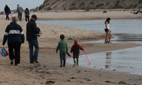 rockpooling_blog.jpg