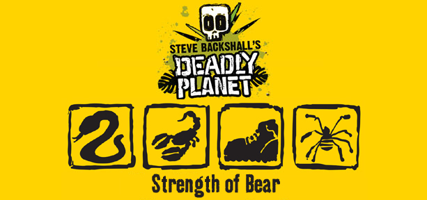 Strength of Bear secret code which is snake, scorpion, boot, spider