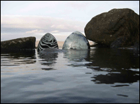 ceramic image by Paul Hudson